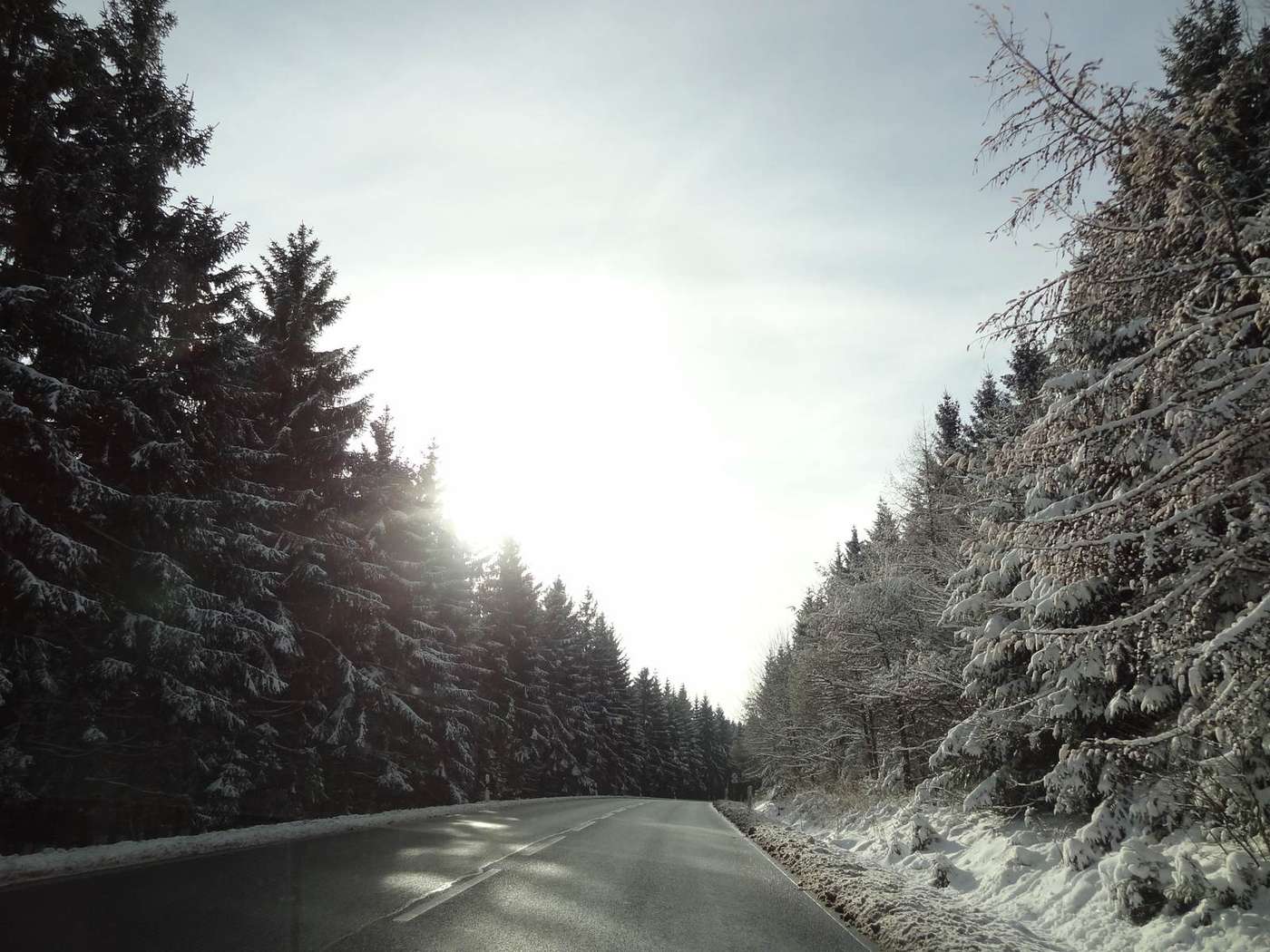 Schwarz geräumte Fahrbahn der B 4 bei Braunlage, beiderseits schneebeladene Fichten; links steht die Wintersonne tief über den Wipfeln.
